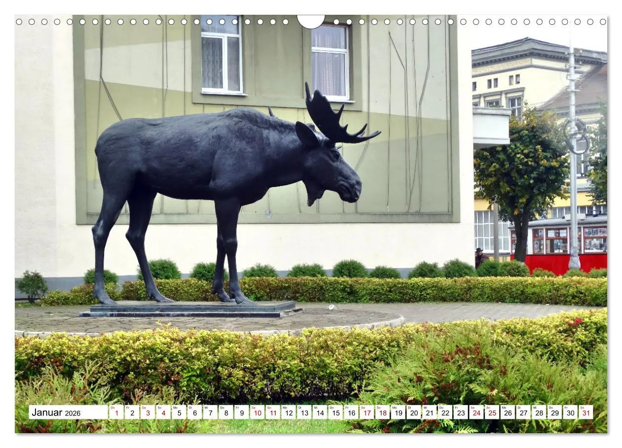 Bild: 9783457624180 | Ostpreußens Elche (Wandkalender 2026 DIN A3 quer), CALVENDO...