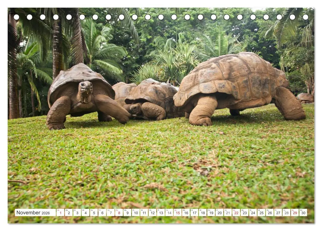 Bild: 9783516194180 | Mauritius (Tischkalender 2026 DIN A5 quer), CALVENDO Monatskalender