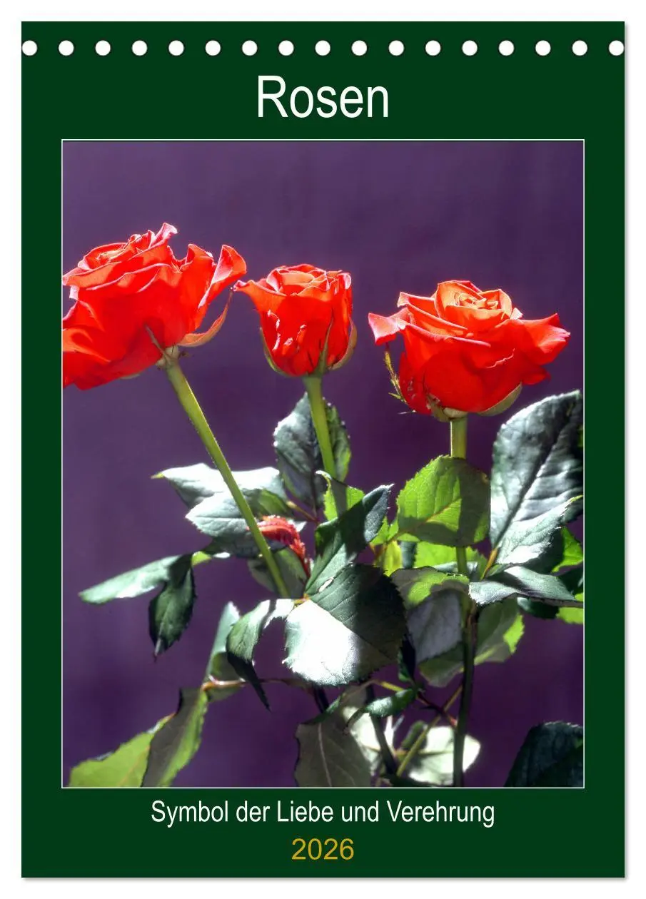 Cover: 9783516404180 | Rosen - Symbol der Liebe und Verehrung (Tischkalender 2026 DIN A5...