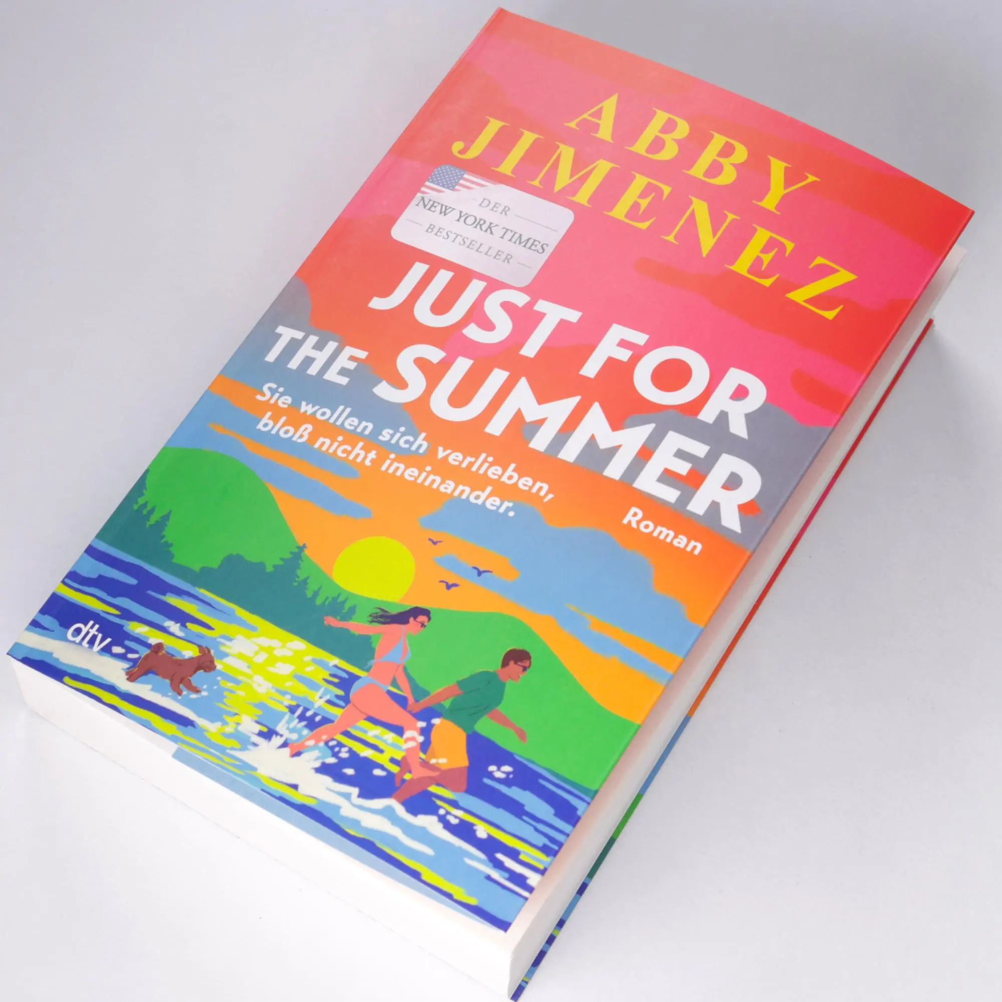 Bild: 9783423264280 | Just for the Summer | Abby Jimenez | Taschenbuch | 480 S. | Deutsch