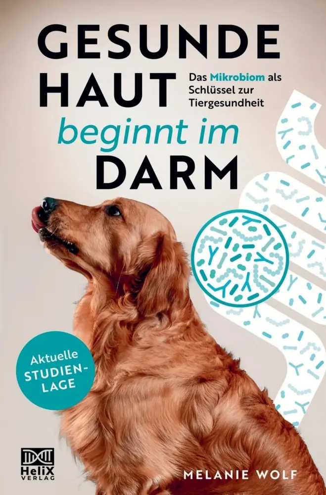 Cover: 9789403864280 | Gesunde Haut beginnt im Darm | Melanie Wolf | Taschenbuch | Deutsch