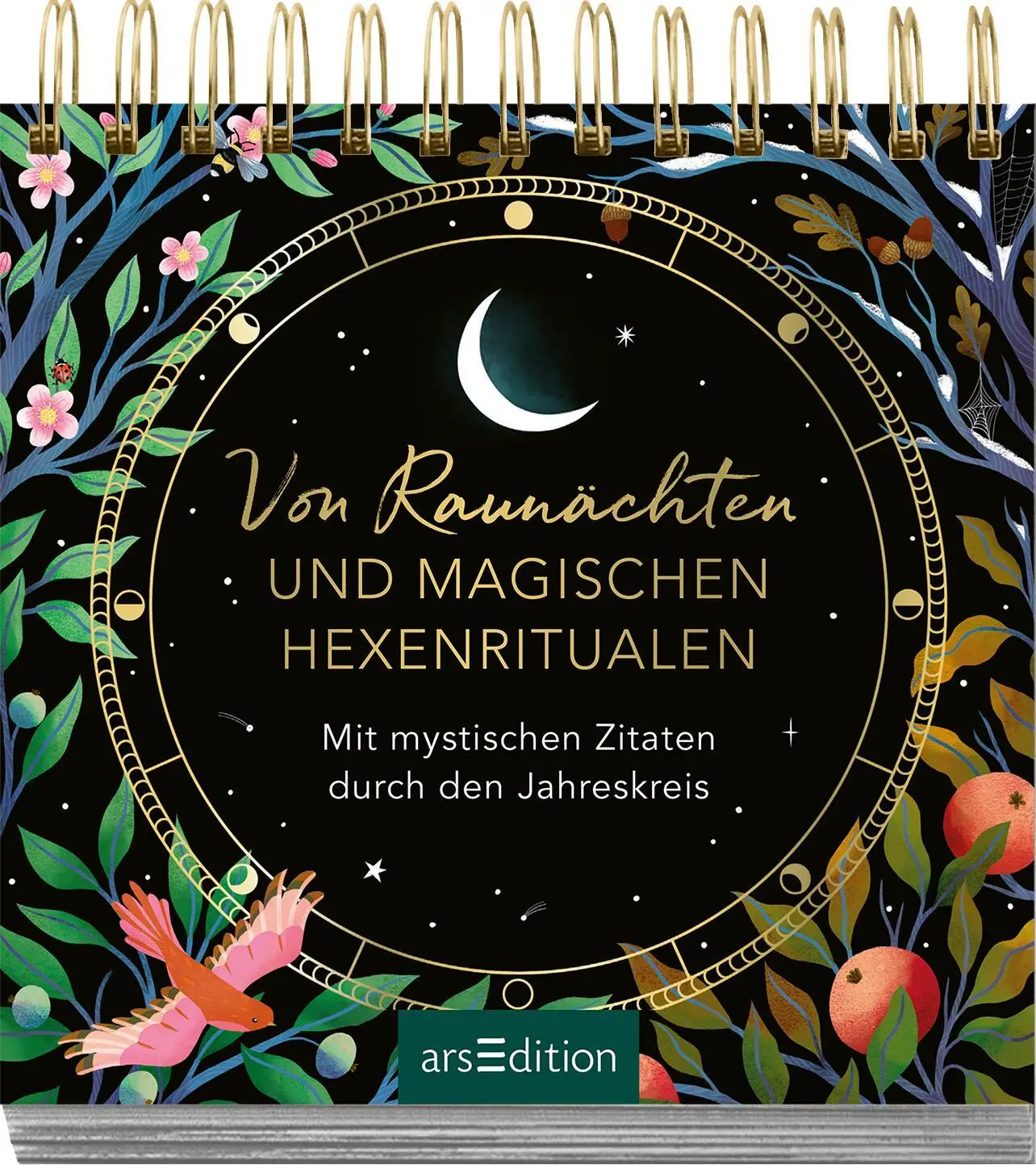 Bild: 9783845854380 | Von Raunächten und magischen Hexenritualen | Petra Braun | Taschenbuch