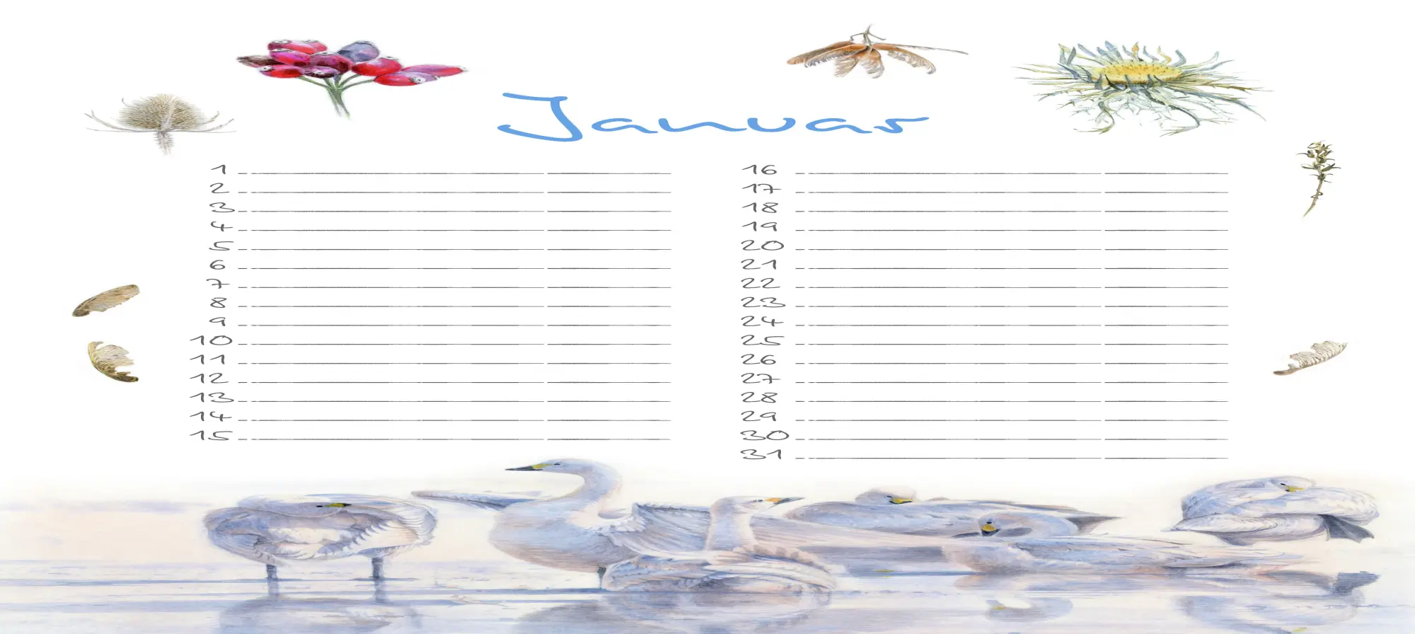 Bild: 9783895664380 | Geburtstagskalender | Naturillustrationen von Christopher Schmidt