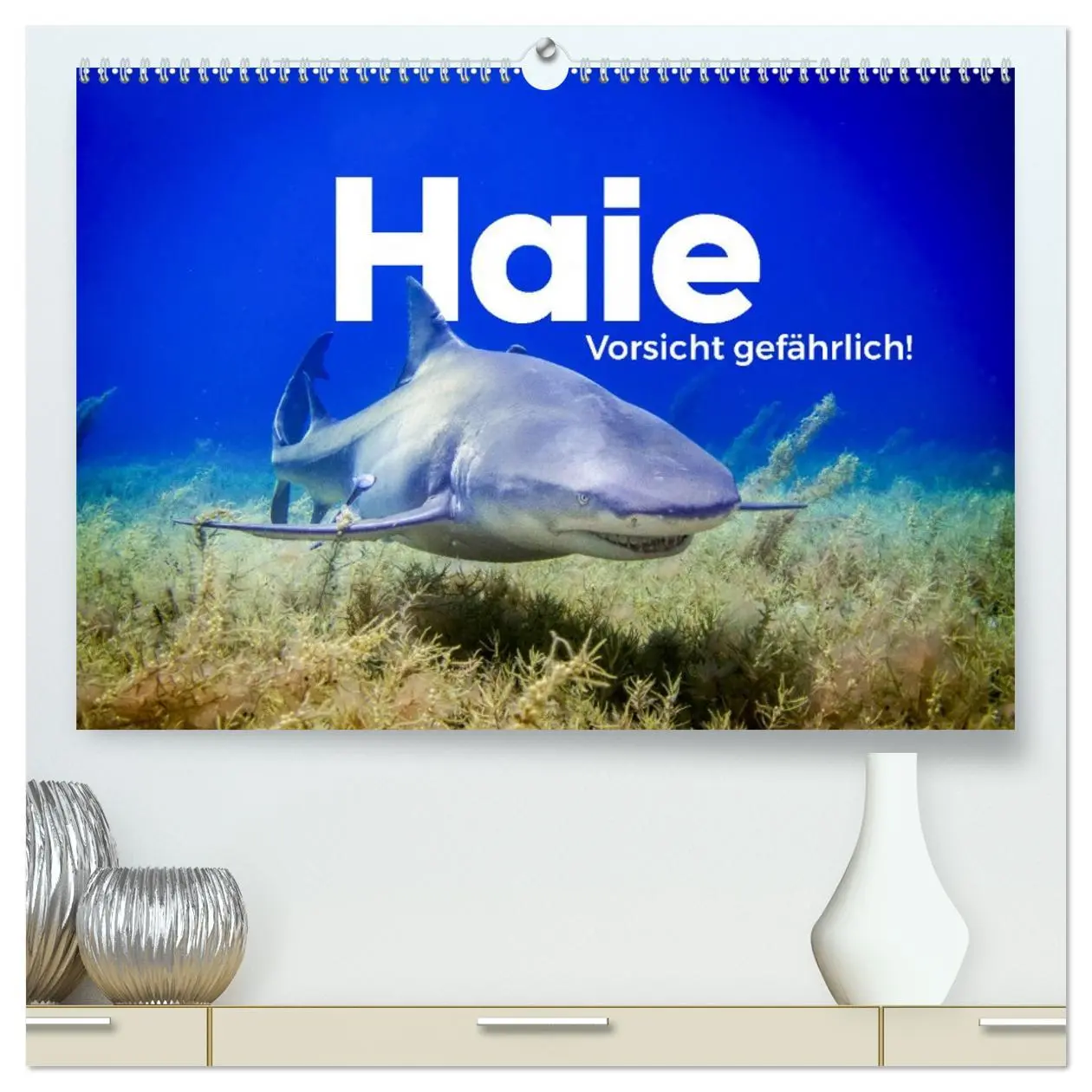 Cover: 9783457384480 | Haie - Vorsicht gefährlich! (hochwertiger Premium Wandkalender 2026...