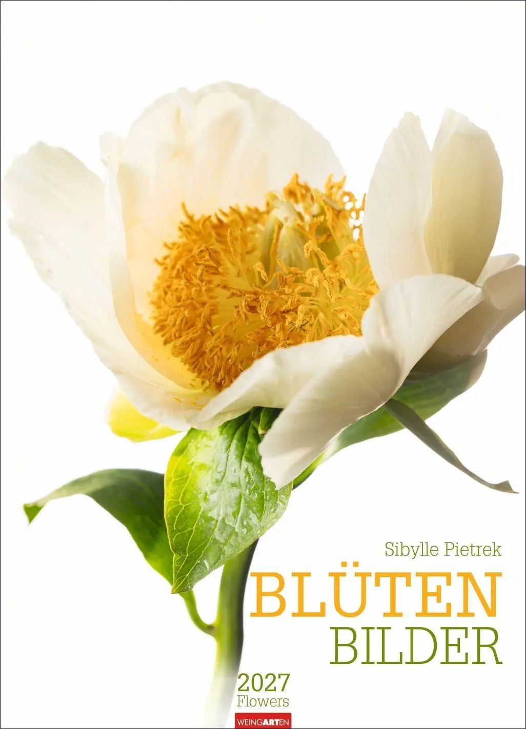 Cover: 9783839904480 | Blütenbilder Kalender 2027 | Sibylle Pietrek | Kalender | 14 S. | 2027