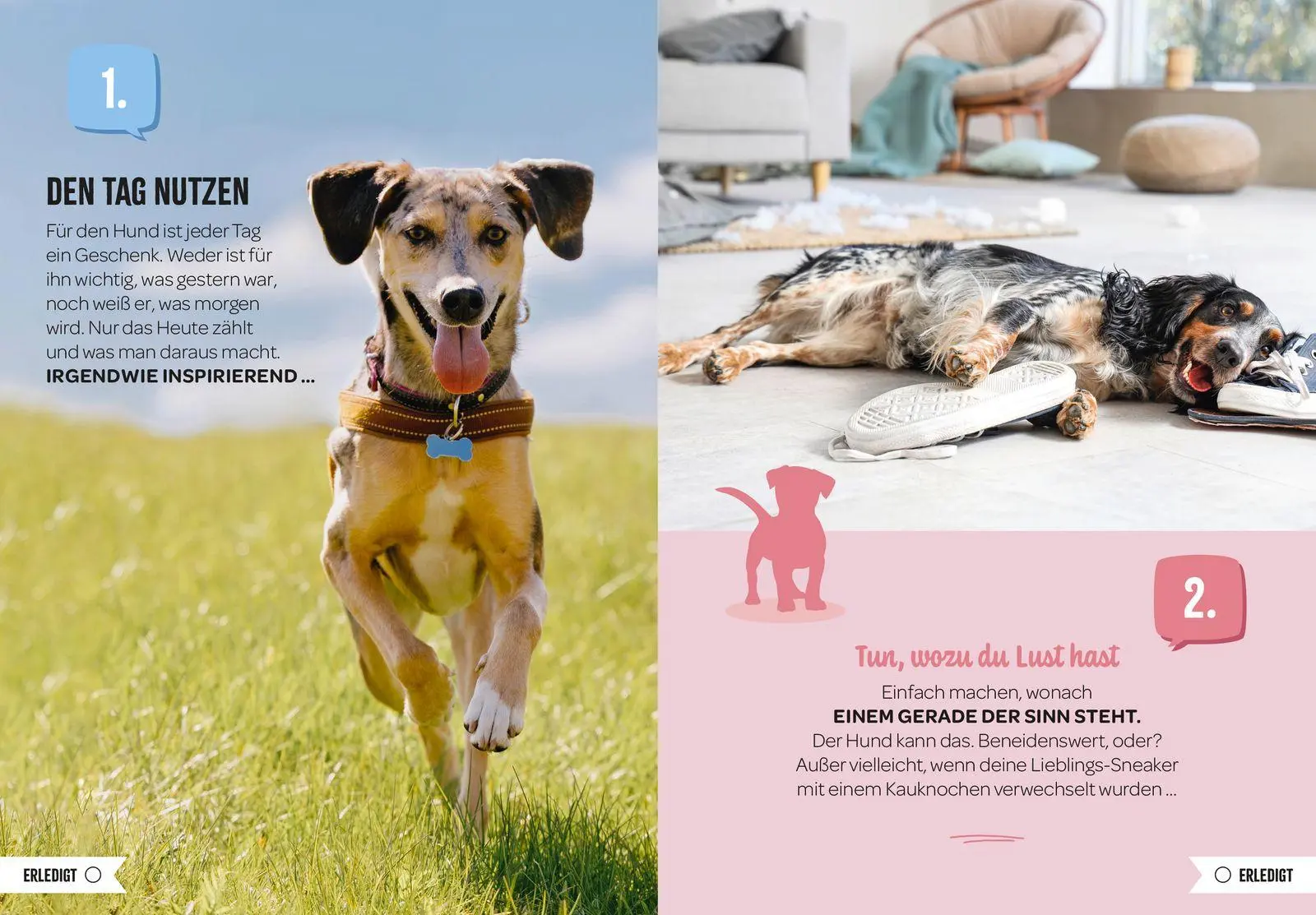 Bild: 9783848504480 | 100 Dinge, die man von einem Hund lernen kann | Groh Verlag | Buch