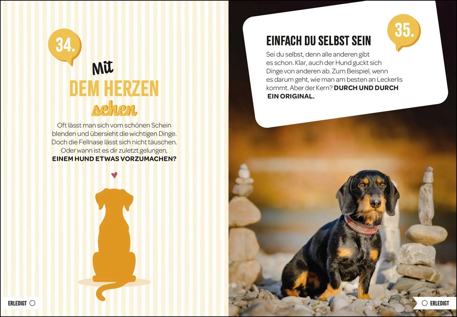 Bild: 9783848504480 | 100 Dinge, die man von einem Hund lernen kann | Groh Verlag | Buch