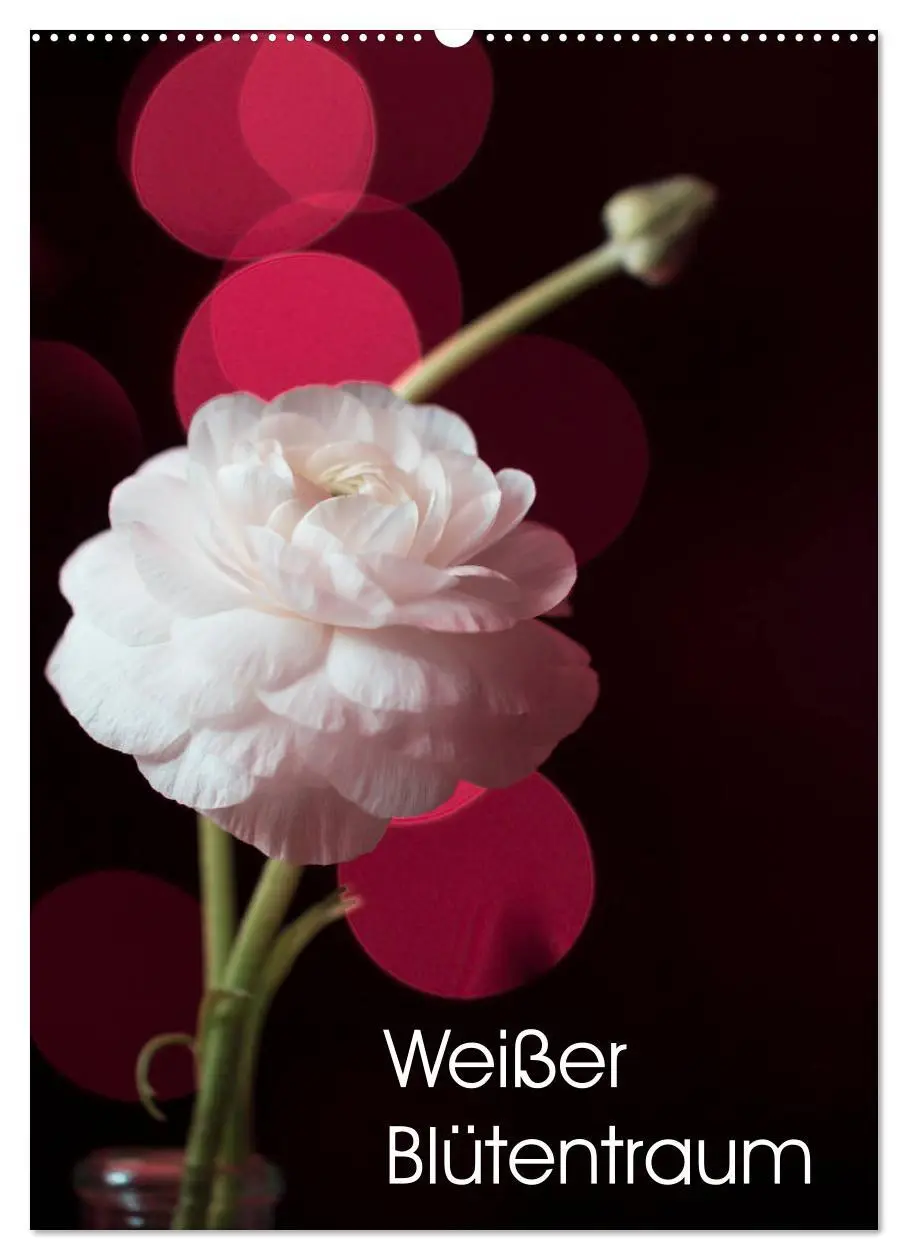 Cover: 9783516394580 | Weißer Blütentraum (Wandkalender 2026 DIN A2 hoch), CALVENDO...