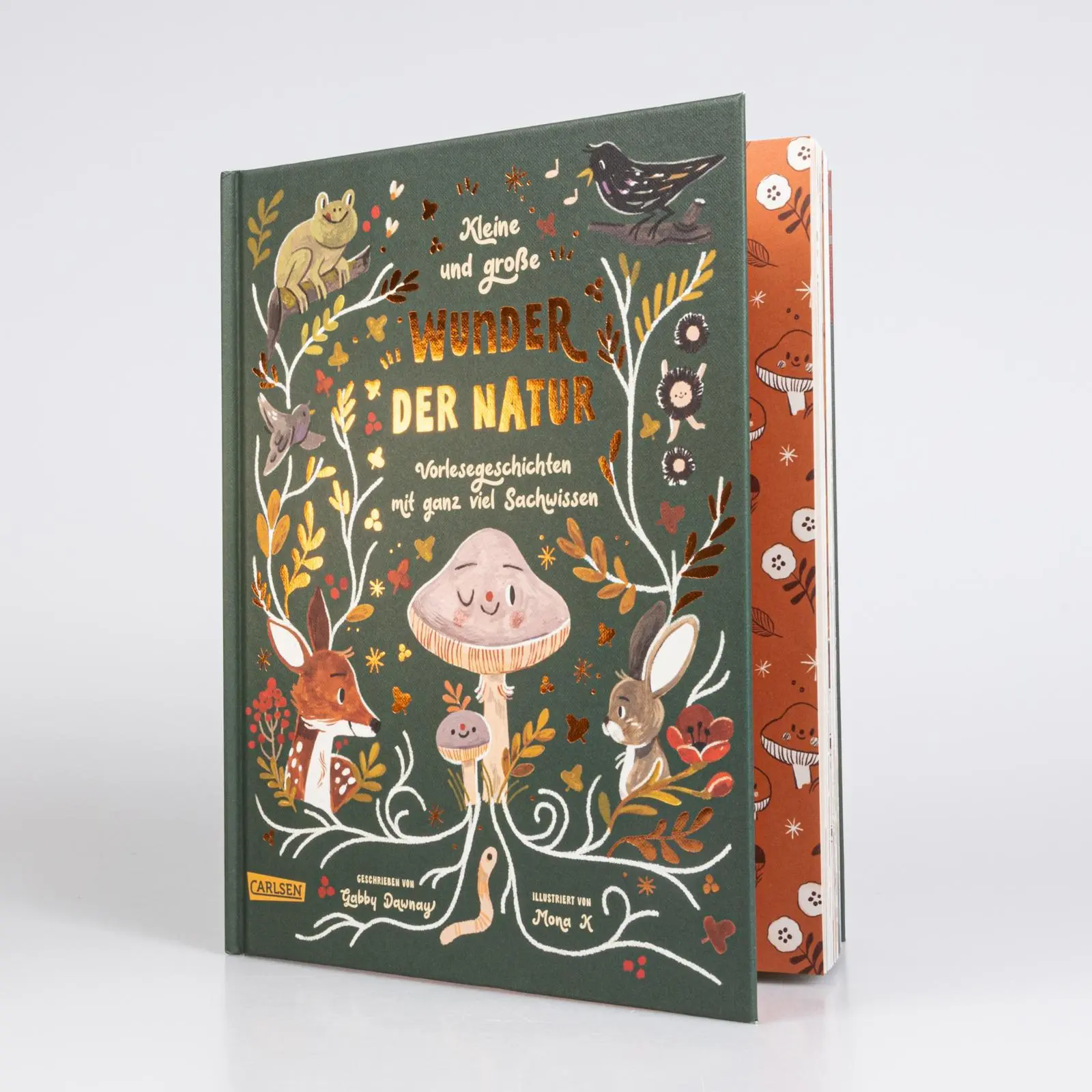 Bild: 9783551254580 | Kleine und große Wunder der Natur | Gabby Dawnay | Buch | 94 S. | 2023