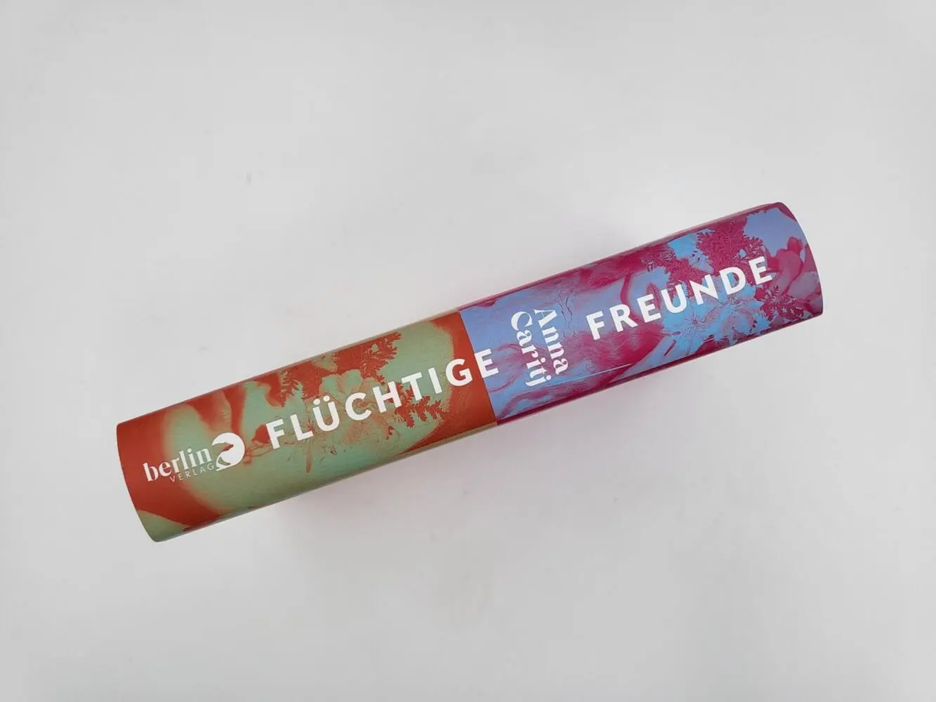 Bild: 9783827014580 | Flüchtige Freunde | Roman | Anna Caritj | Buch | 384 S. | Deutsch