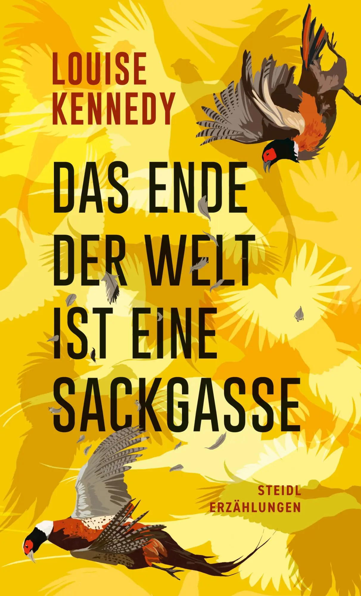 Cover: 9783969994580 | Das Ende der Welt ist eine Sackgasse | Louise Kennedy | Buch | 256 S.