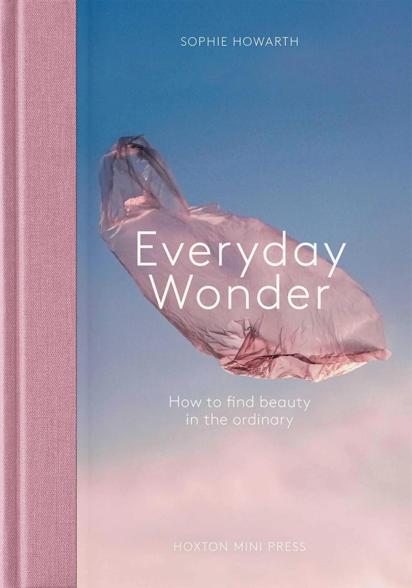 Cover: 9781914314780 | Everyday Wonder | Sophie Howarth | Buch | Englisch | 2025