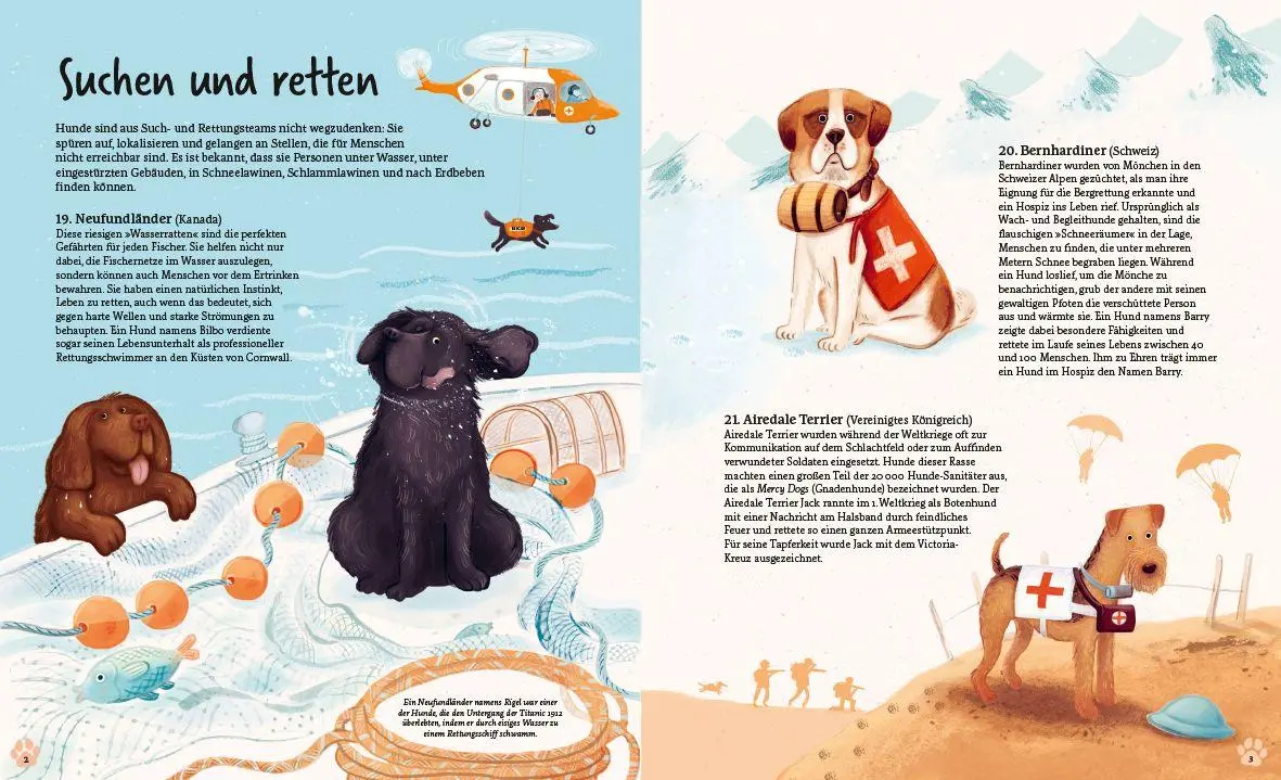 Bild: 9783423764780 | In 80 Hunden um die Welt | Kristyna Litten | Buch | 72 S. | Deutsch