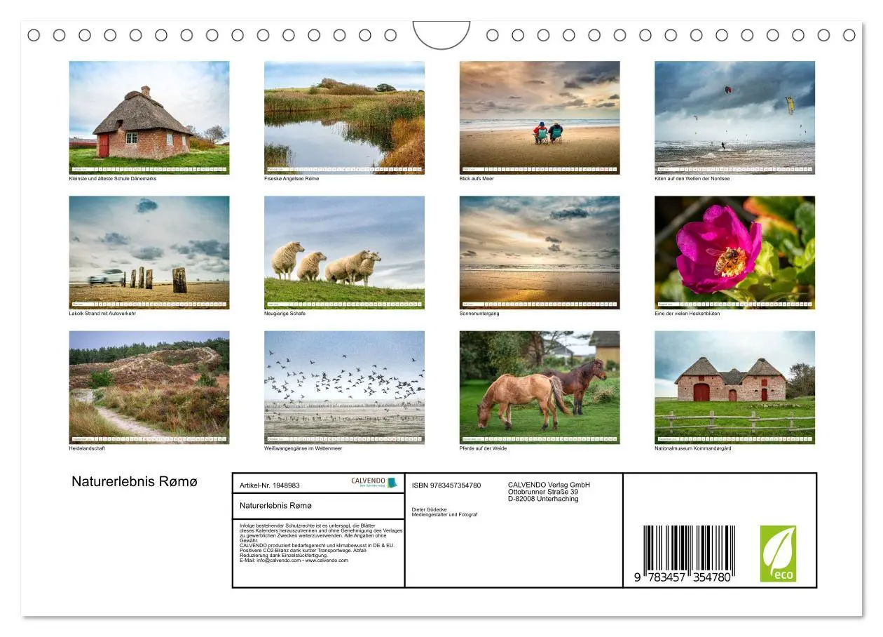Bild: 9783457354780 | Naturerlebnis Rømø (Wandkalender 2026 DIN A4 quer), CALVENDO...