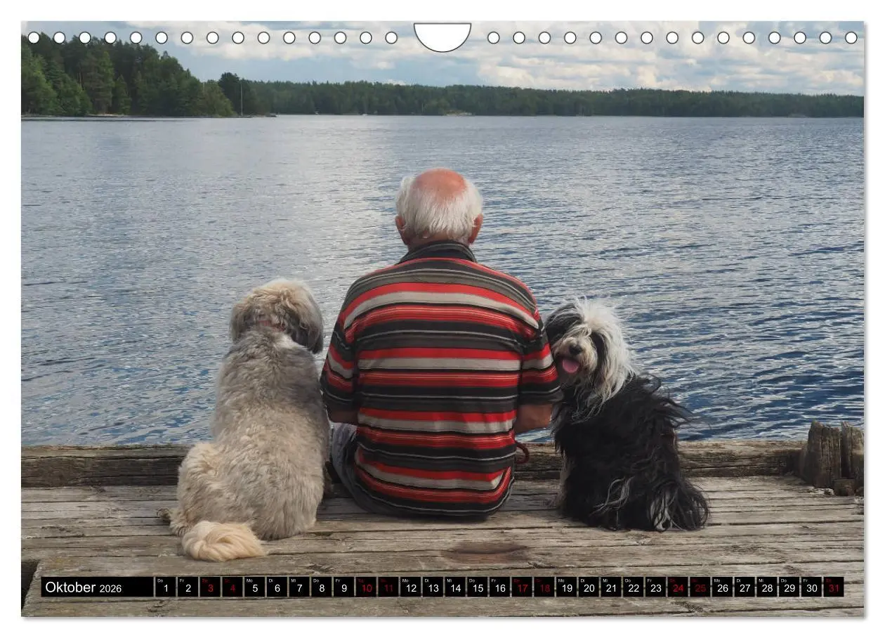 Bild: 9783457804780 | Tibet-Terrier - Eine Hunderasse mit Charakter (Wandkalender 2026...