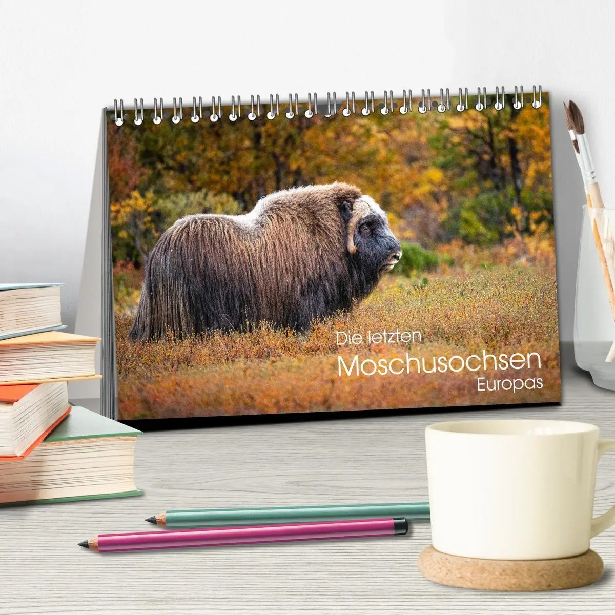 Bild: 9783569394780 | Die letzten Moschusochsen Europas (Tischkalender 2027 DIN A5 quer),...