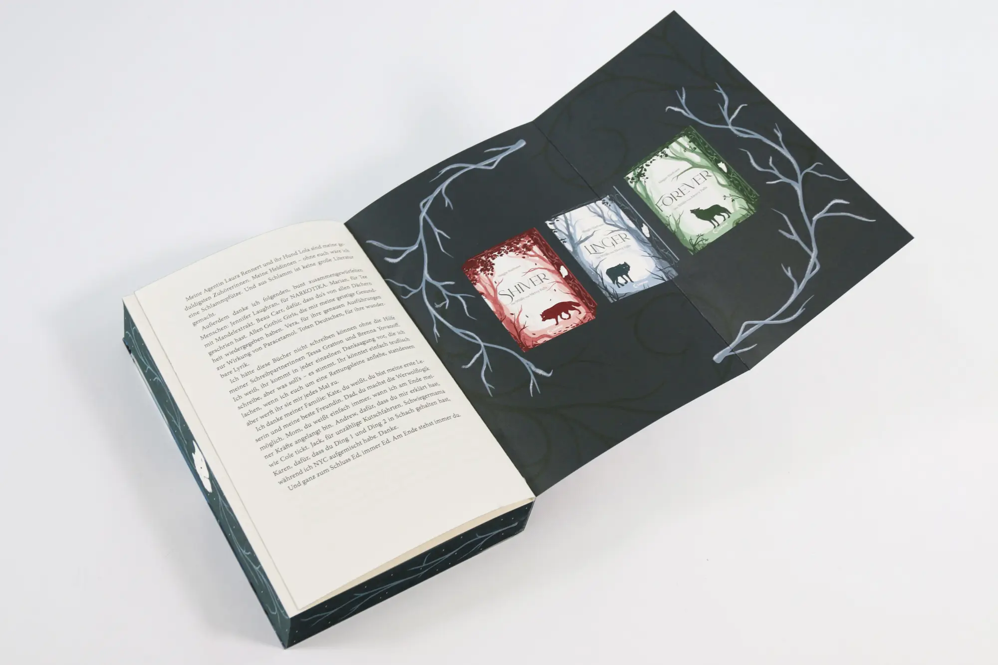 Bild: 9783743224780 | Linger (Die Wölfe von Mercy Falls, Band 2) | Maggie Stiefvater | Buch