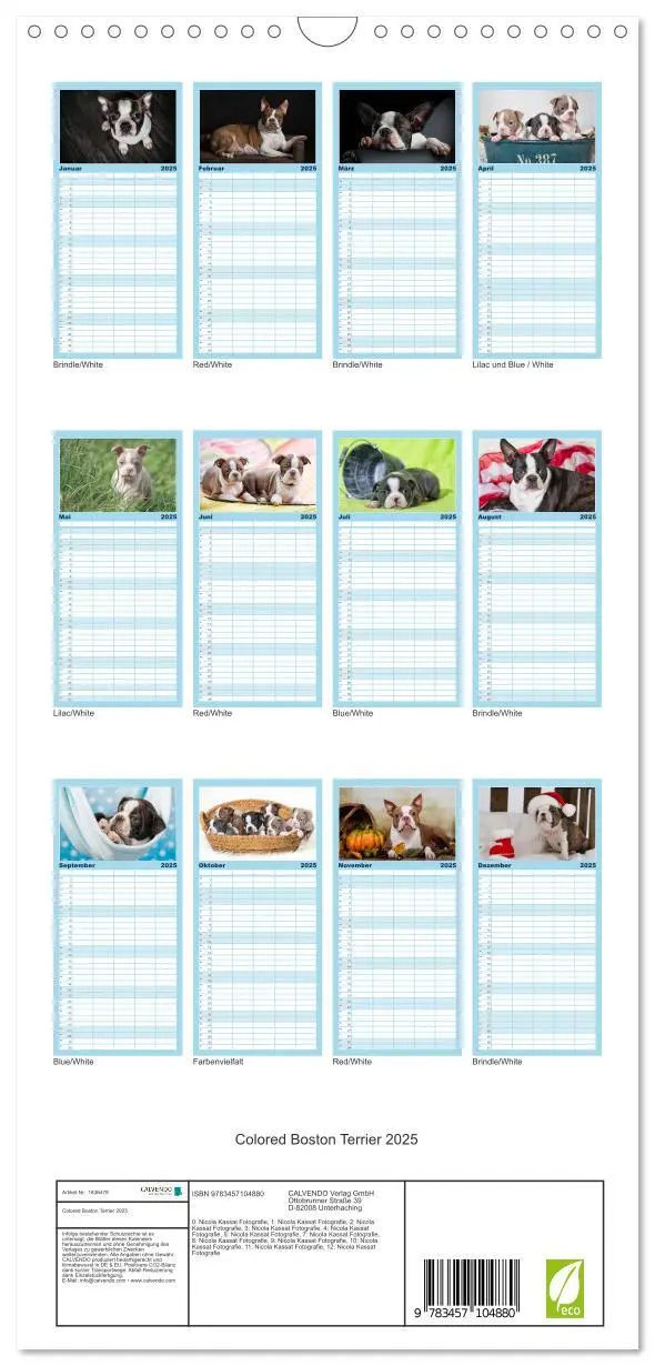 Bild: 9783457104880 | Familienplaner 2025 - Colored Boston Terrier 2025 mit 5 Spalten...