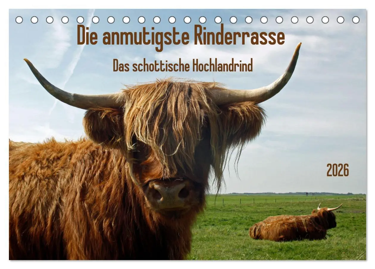 Cover: 9783457724880 | Die anmutigste Rinderrasse - Das schottische Hochlandrind...