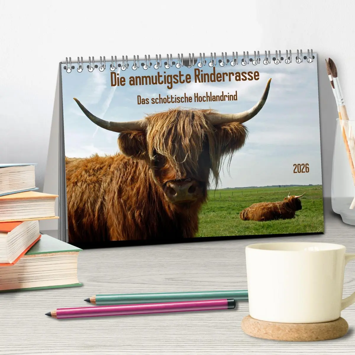 Bild: 9783457724880 | Die anmutigste Rinderrasse - Das schottische Hochlandrind...