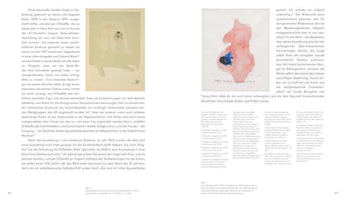 Bild: 9783775754880 | Georgia O'Keeffe | Sehen braucht Zeit | Samantha Friedman | Buch