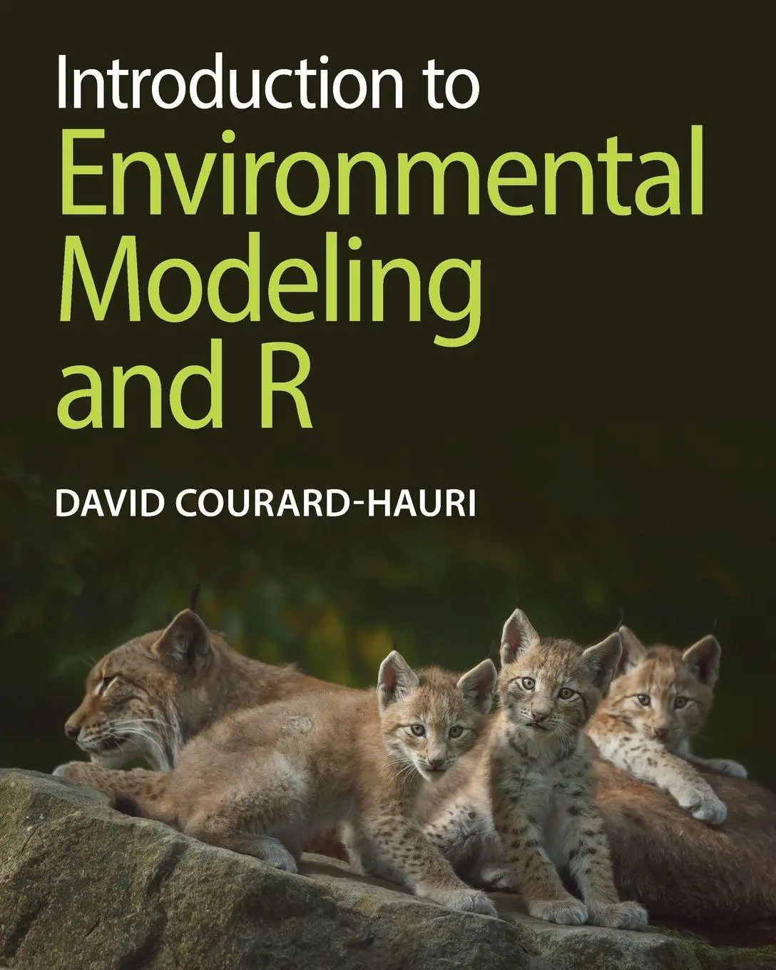 Cover: 9781009674980 | Introduction to Environmental Modeling and R | David Courard-Hauri