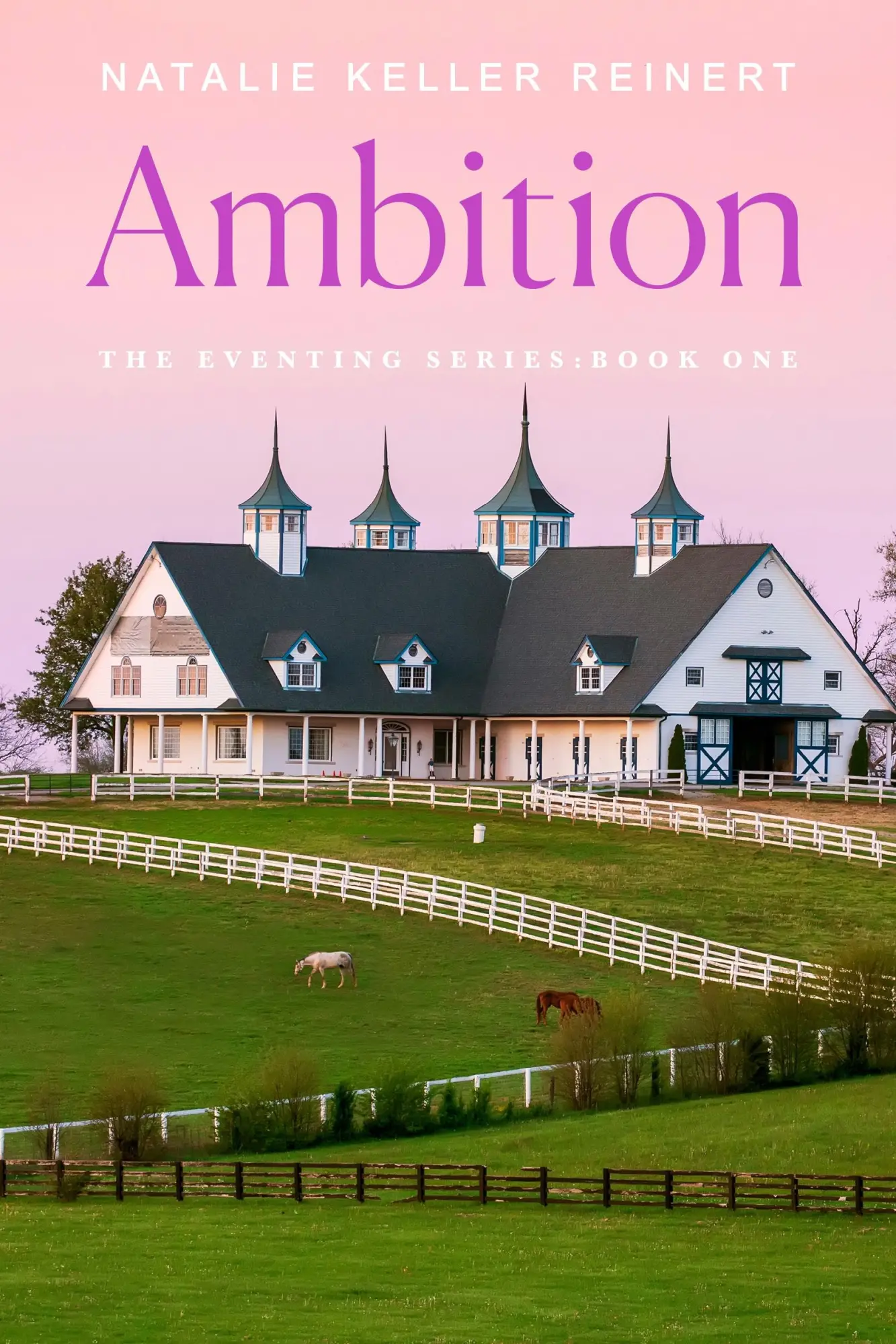 Cover: 9781250384980 | Ambition | Natalie Keller Reinert | Taschenbuch | Flatiron Books