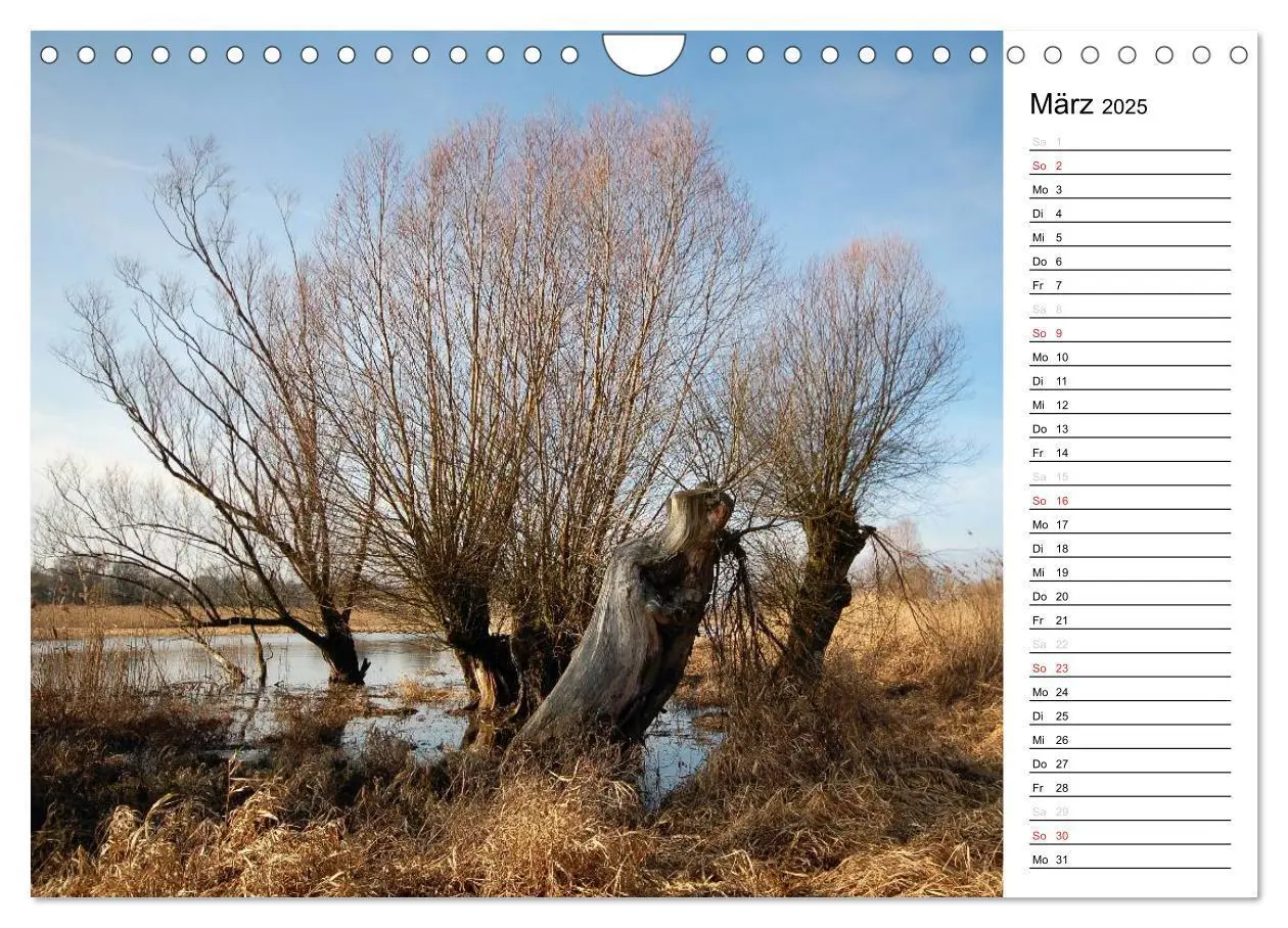 Bild: 9783435554980 | Vier Jahreszeiten im Havelland (Wandkalender 2025 DIN A4 quer),...