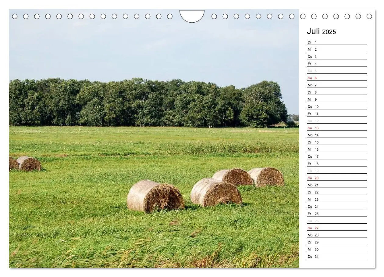 Bild: 9783435554980 | Vier Jahreszeiten im Havelland (Wandkalender 2025 DIN A4 quer),...