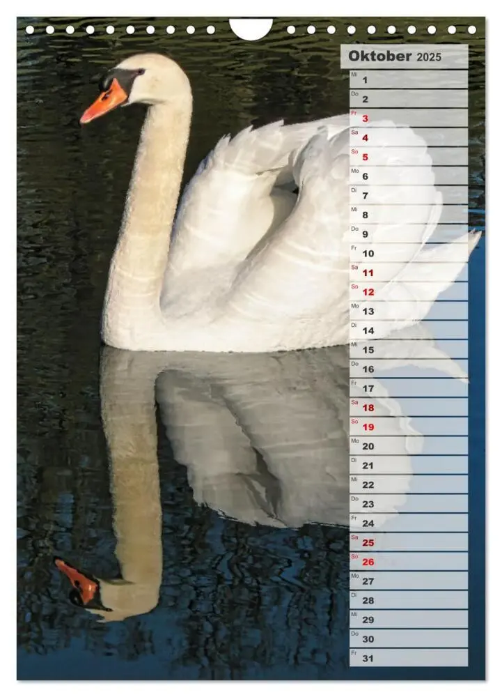 Bild: 9783435864980 | Stolze Schwäne (Wandkalender 2025 DIN A4 hoch), CALVENDO...