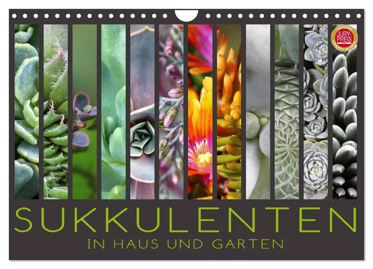 Cover: 9783516044980 | Sukkulenten in Haus und Garten (Wandkalender 2026 DIN A4 quer),...