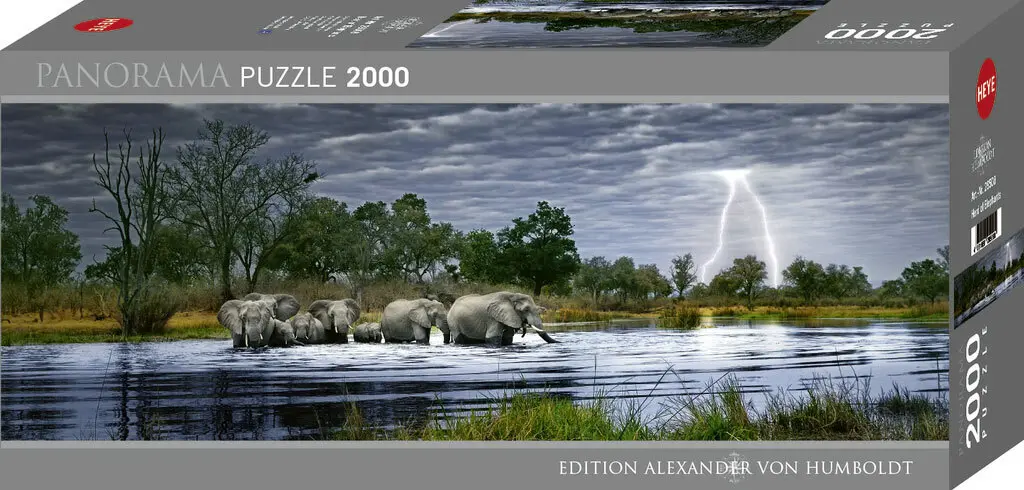 Cover: 4001689295080 | Herd of Elephants Puzzle | 2000 Teile | Alex Bernasconi | Spiel | 2012