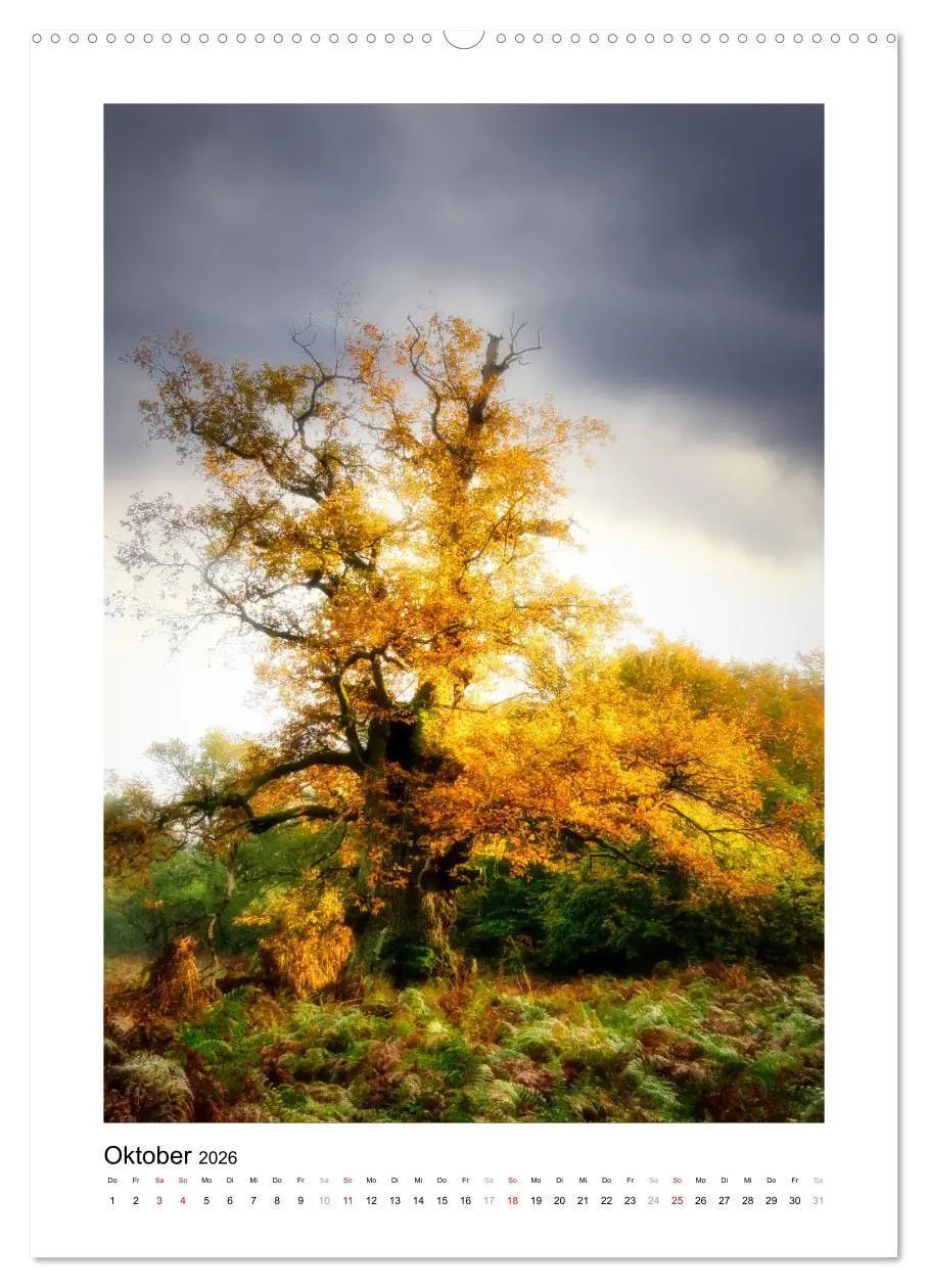 Bild: 9783516315080 | Märchenhaft mystisch (Wandkalender 2026 DIN A2 hoch), CALVENDO...