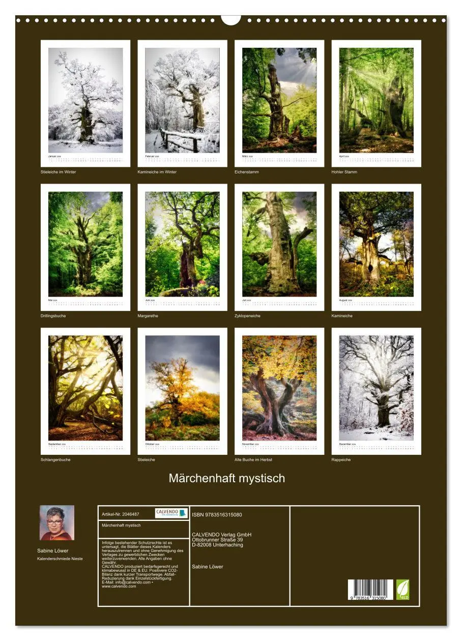 Bild: 9783516315080 | Märchenhaft mystisch (Wandkalender 2026 DIN A2 hoch), CALVENDO...