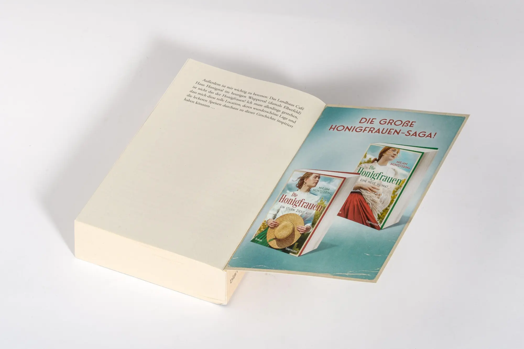 Bild: 9783734115080 | Die Honigfrauen - Ein Sturm zieht auf | Mirjam Müntefering | Buch
