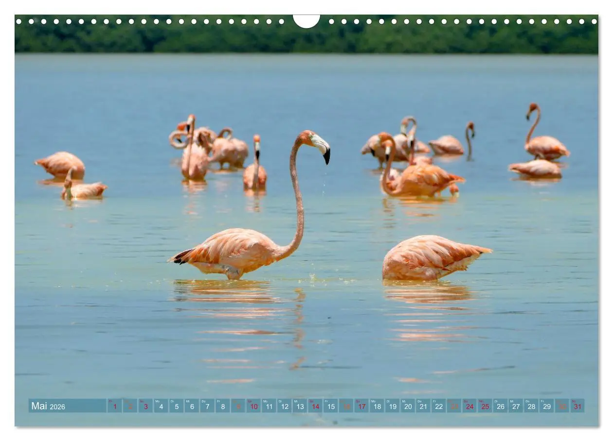 Bild: 9783457385180 | Geheimnisvolle Orte Yucatán (Wandkalender 2026 DIN A3 quer),...