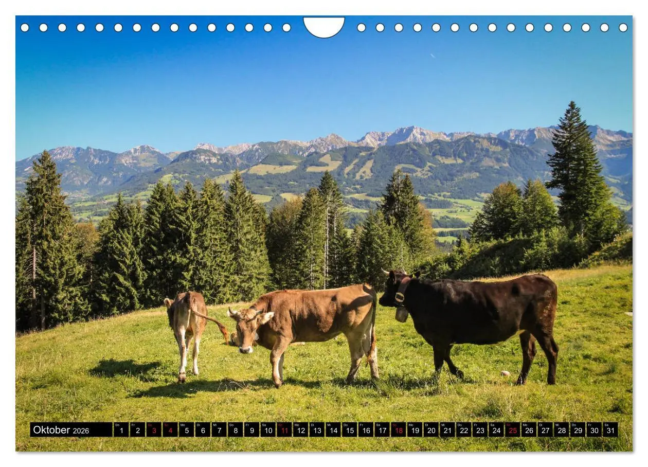 Bild: 9783457765180 | Faszination Allgäu (Wandkalender 2026 DIN A4 quer), CALVENDO...