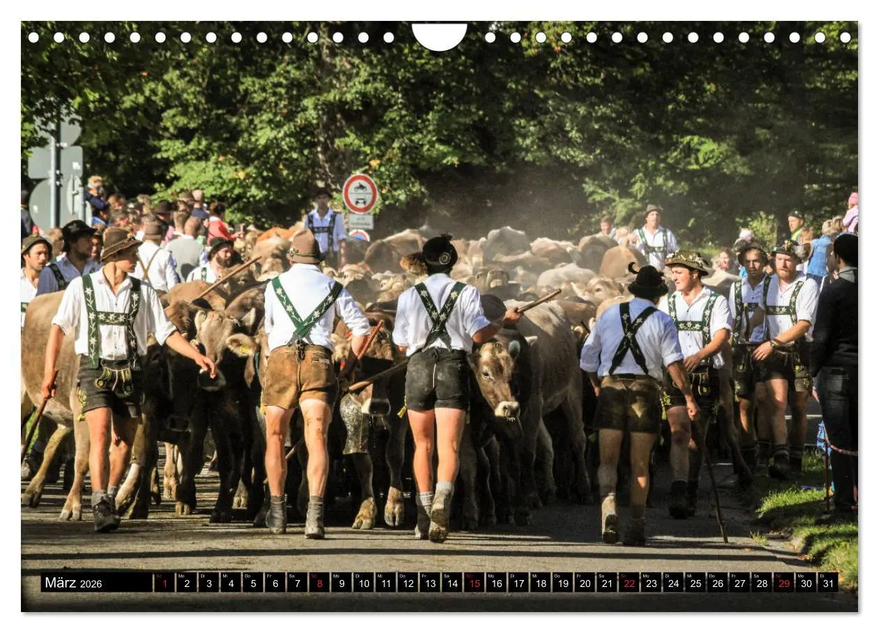 Bild: 9783457765180 | Faszination Allgäu (Wandkalender 2026 DIN A4 quer), CALVENDO...