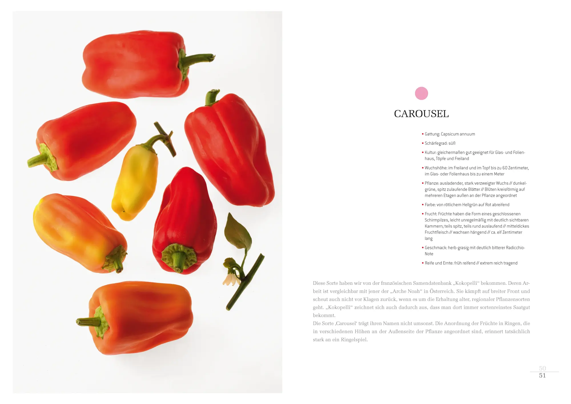 Bild: 9783706625180 | Atlas der erlesenen Chilis und Paprika | Erich Stekovics (u. a.)