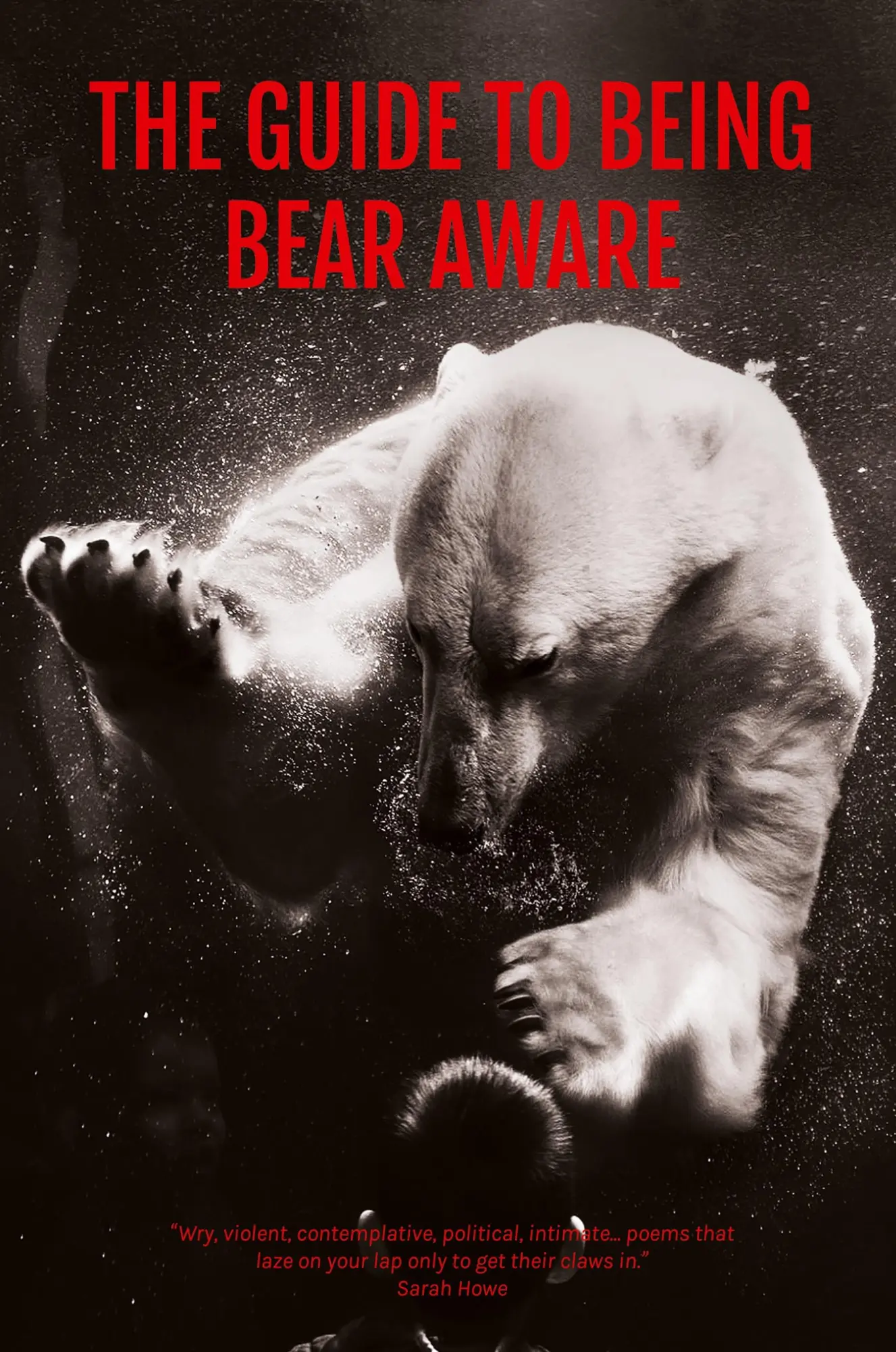 Cover: 9781848615380 | The Guide to Being Bear Aware | S J Fowler | Taschenbuch | Englisch