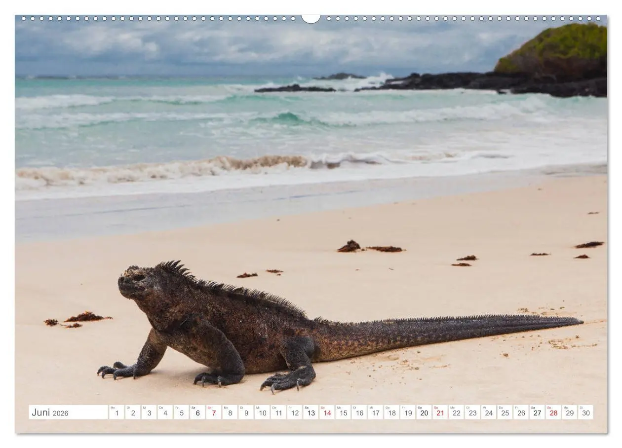 Bild: 9783516075380 | Galapagos. Verzauberte Inseln (hochwertiger Premium Wandkalender...
