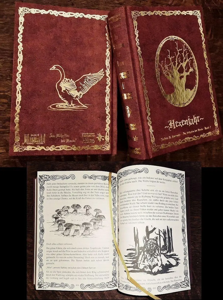 Cover: 9783943455380 | Im Schatten der Hexen 2 Hexenjahr | Kathrin R. Hotowetz | Buch | 2023