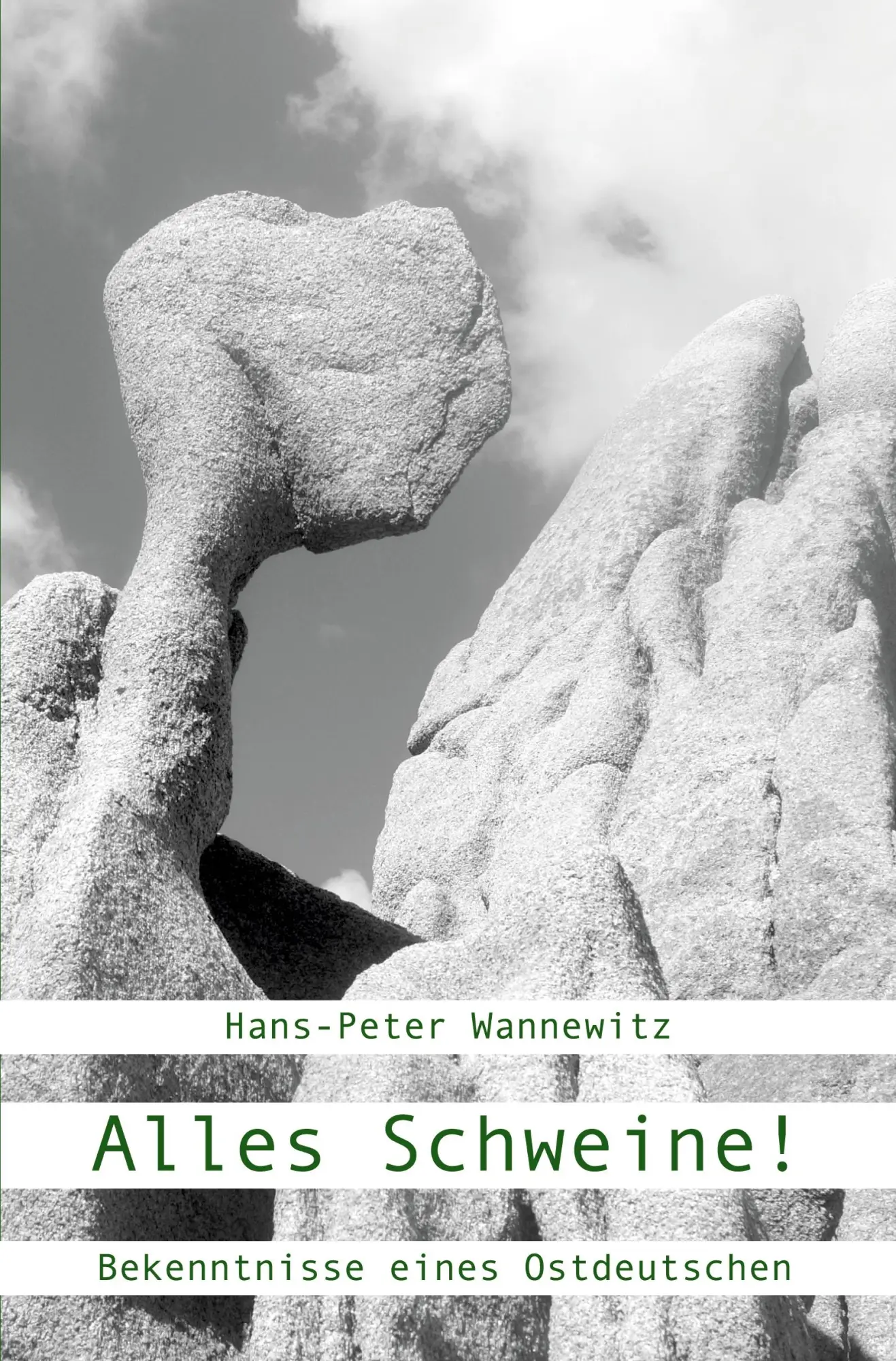 Cover: 9783985275380 | Alles Schweine! | Bekenntnisse eines Ostdeutschen | Wannewitz | Buch