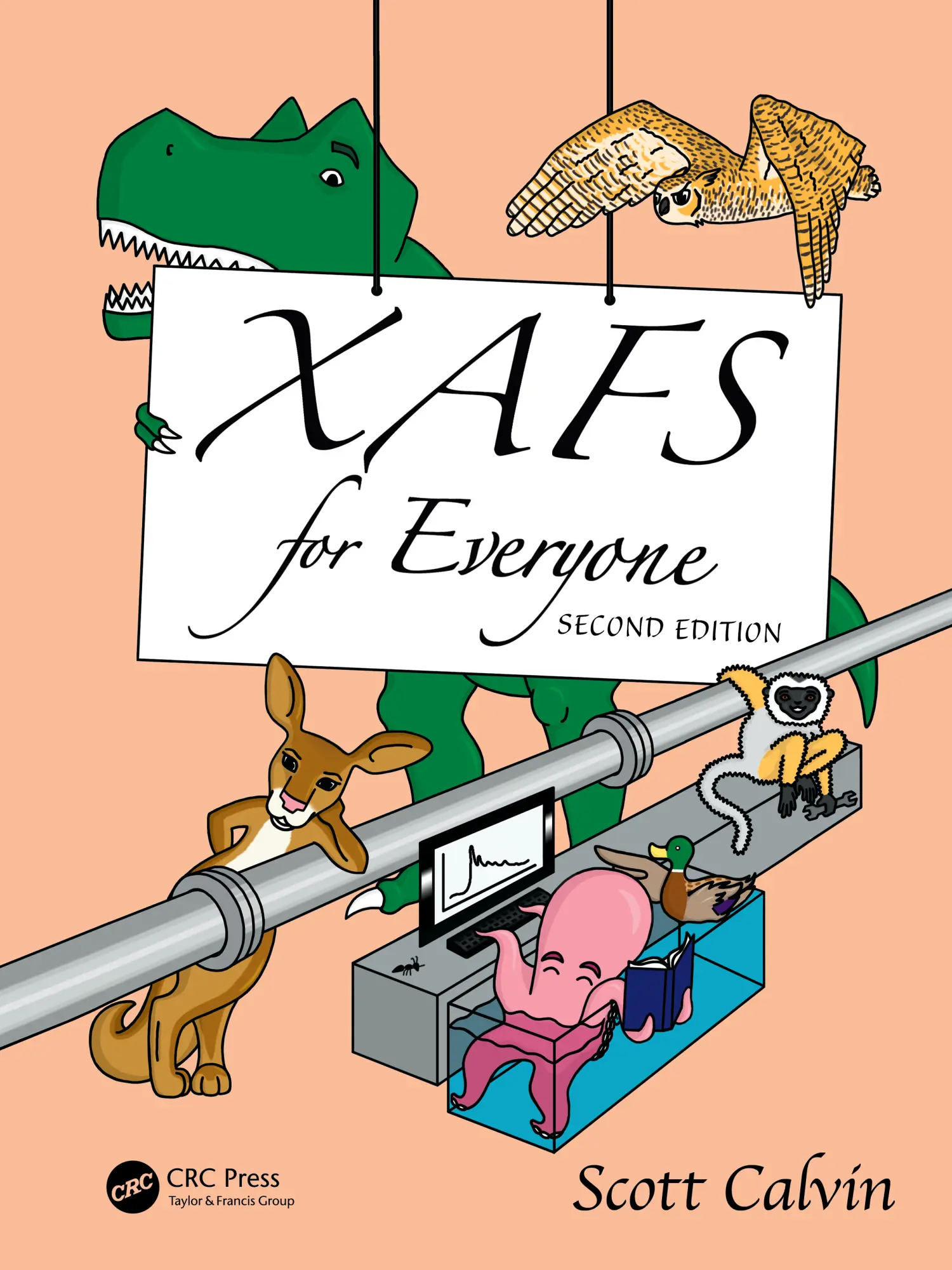 Cover: 9781032745480 | XAFS for Everyone | Scott Calvin | Buch | Einband - fest (Hardcover)