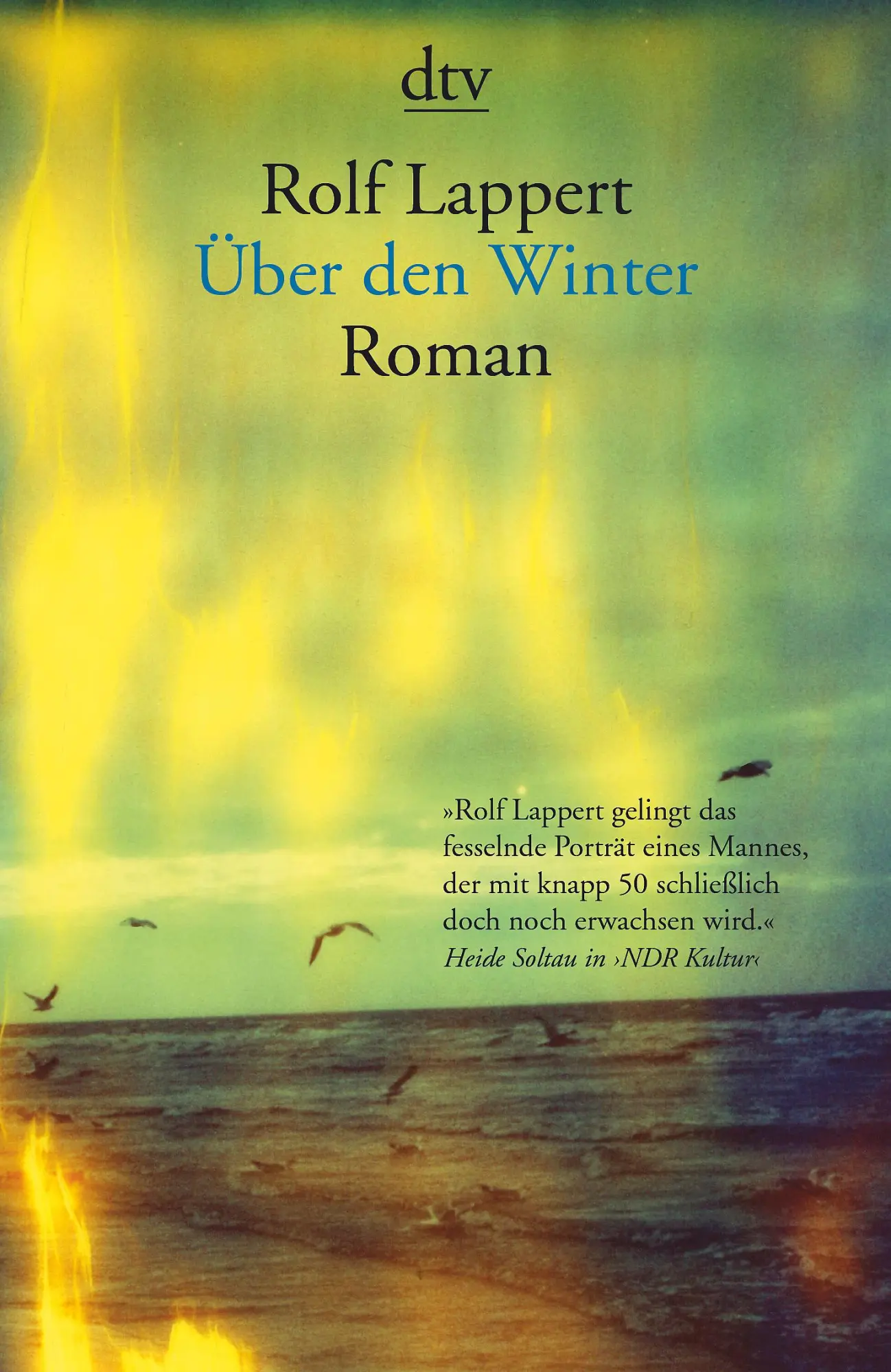 Cover: 9783423145480 | Über den Winter | Rolf Lappert | Taschenbuch | 384 S. | Deutsch | 2017