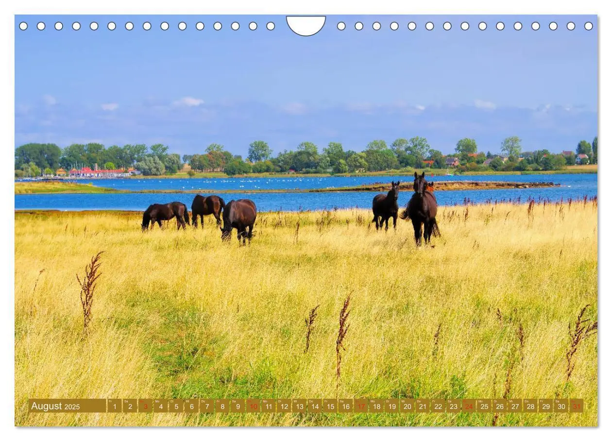 Bild: 9783435265480 | Insel Poel - Auszeit an der Ostsee (Wandkalender 2025 DIN A4 quer),...
