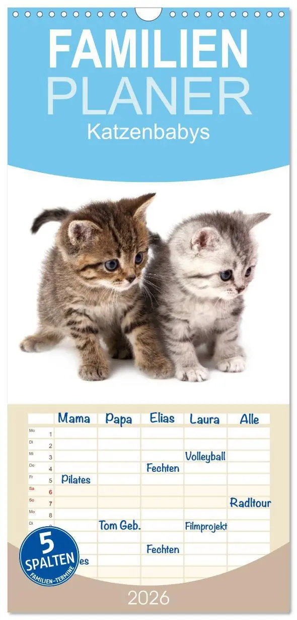 Cover: 9783516515480 | Familienplaner 2026 - Katzenbabys mit 5 Spalten (Wandkalender, 21 x...