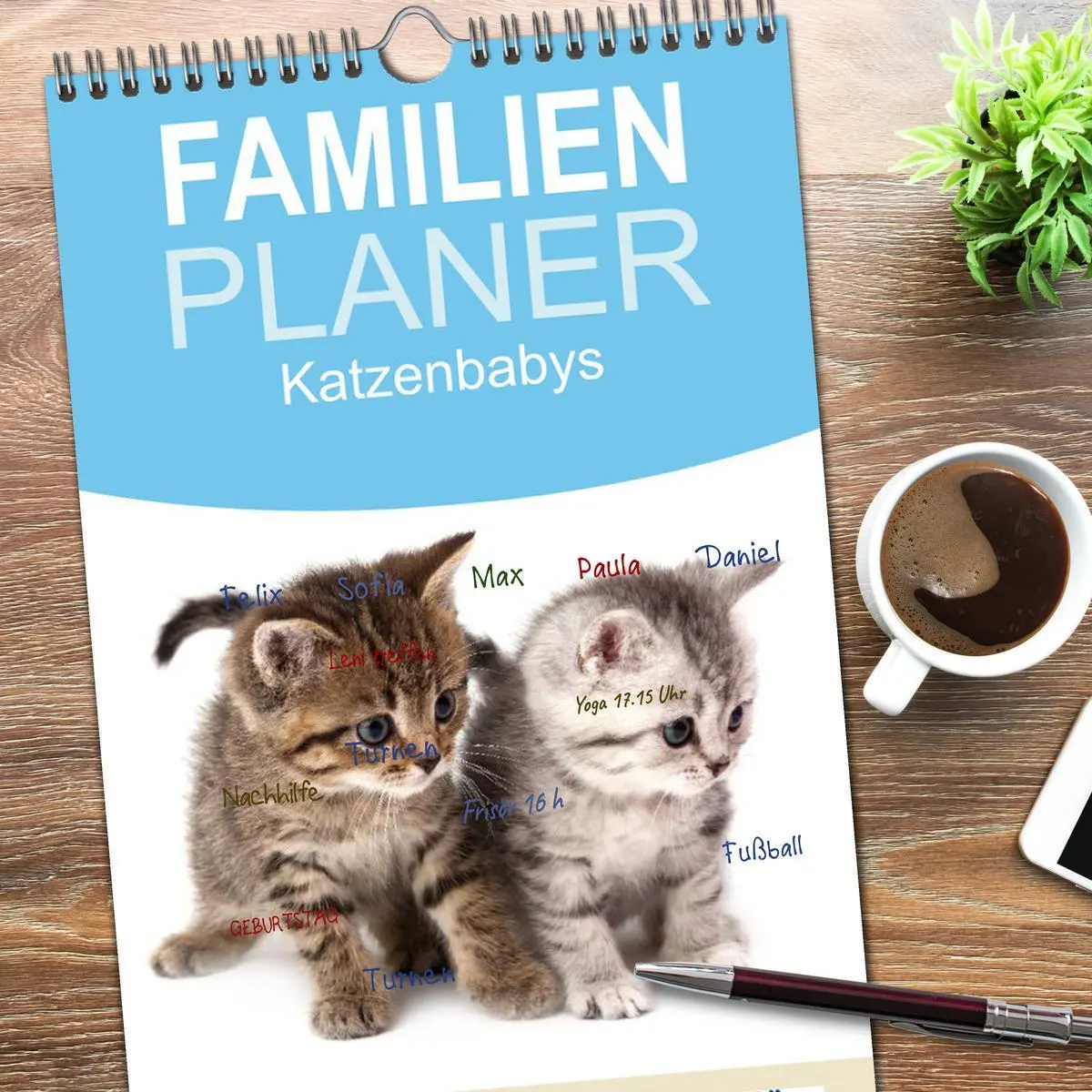 Bild: 9783516515480 | Familienplaner 2026 - Katzenbabys mit 5 Spalten (Wandkalender, 21 x...