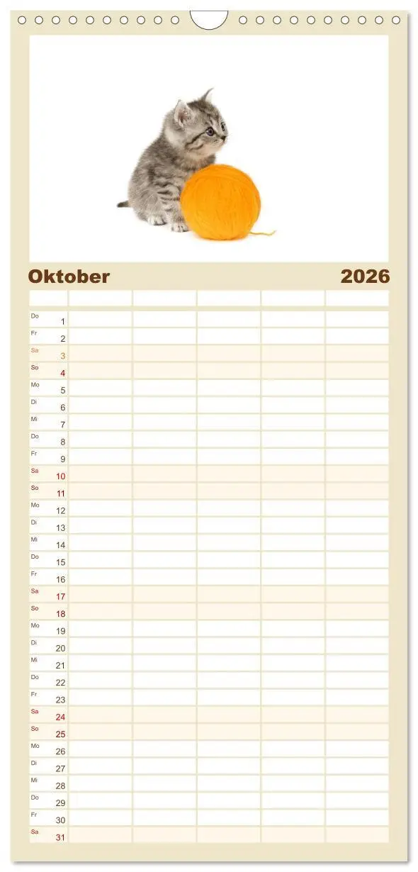 Bild: 9783516515480 | Familienplaner 2026 - Katzenbabys mit 5 Spalten (Wandkalender, 21 x...