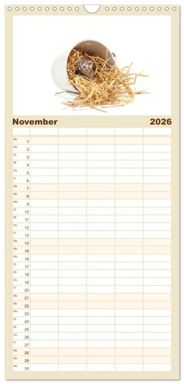 Bild: 9783516515480 | Familienplaner 2026 - Katzenbabys mit 5 Spalten (Wandkalender, 21 x...